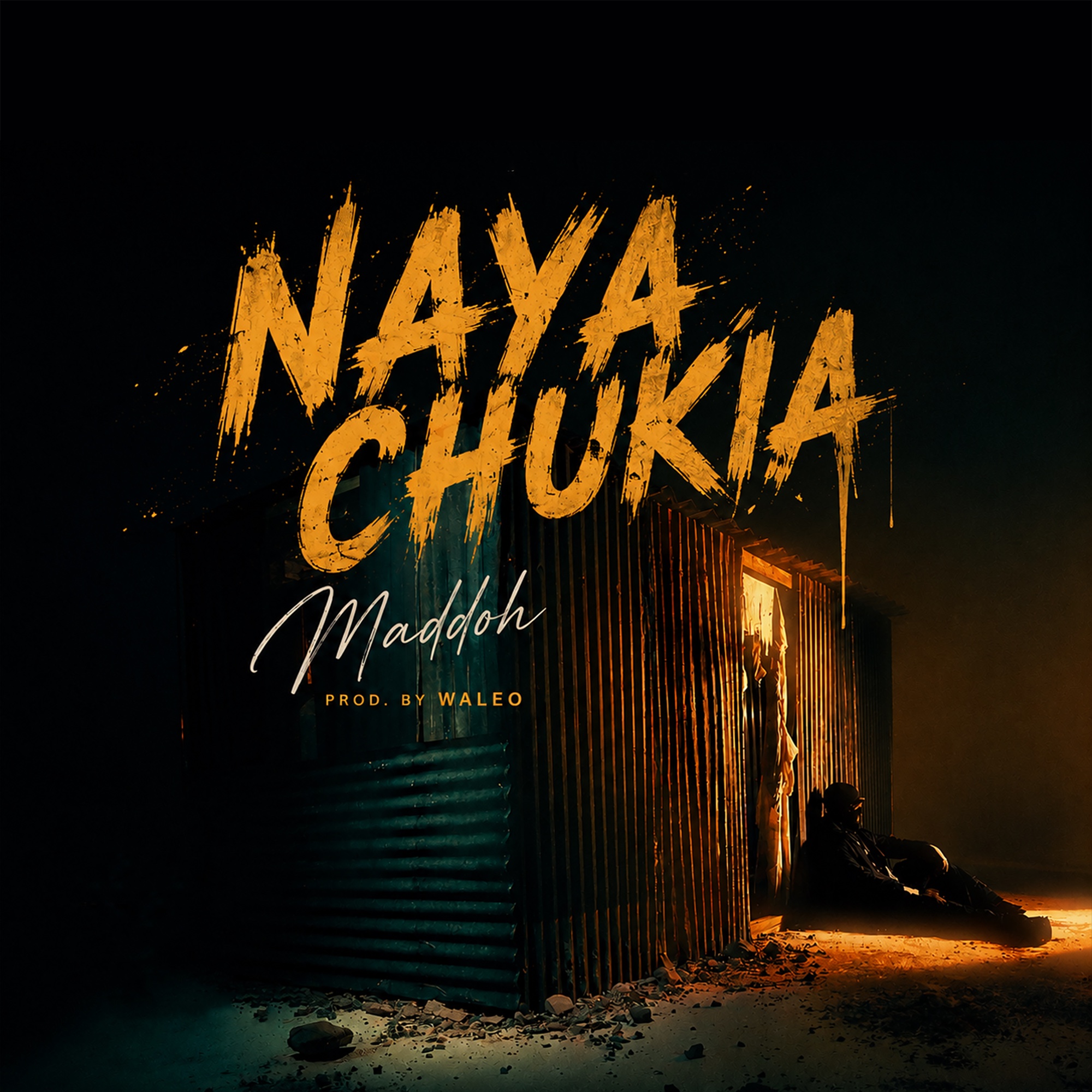 Nayachukia artwork